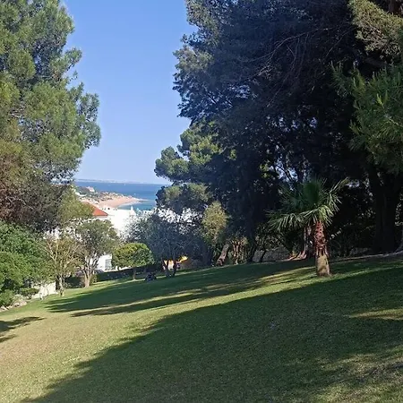 Garden Paradise, Old Town & Apartment *